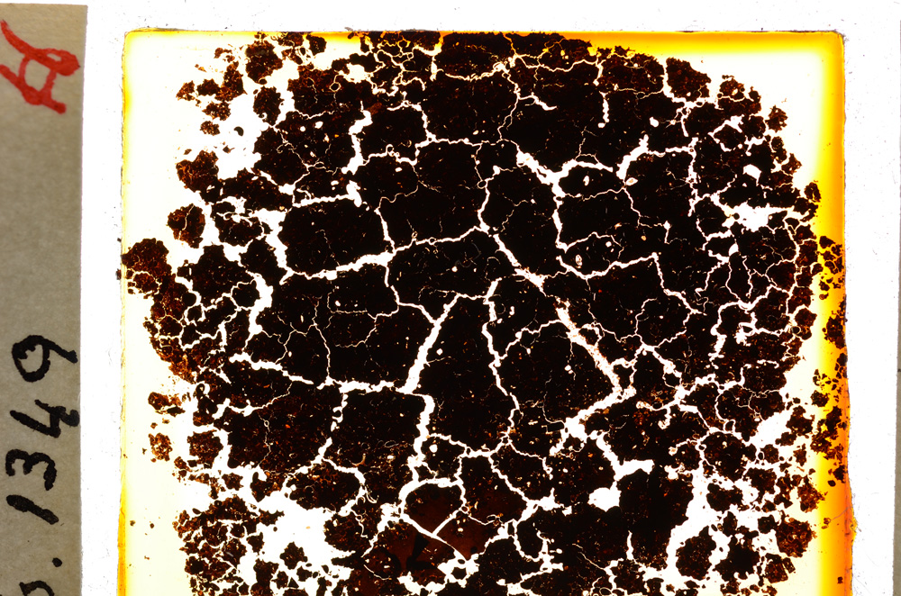 Plane Polarized, E20211