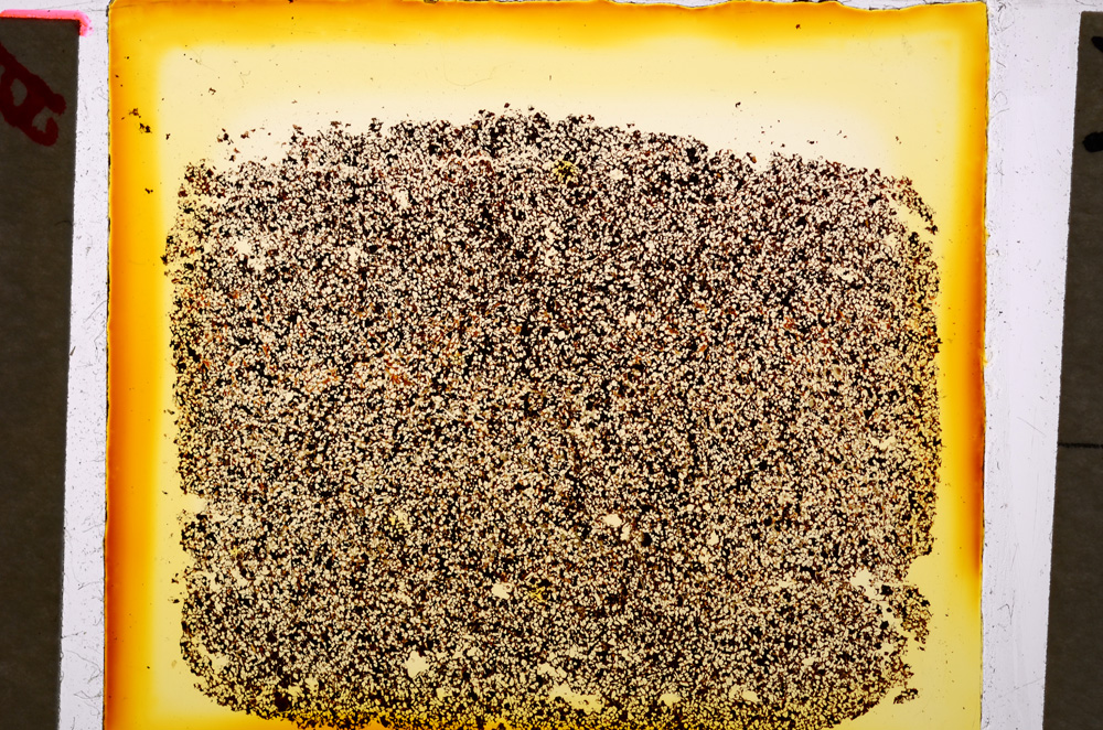 Plane Polarized, E20212