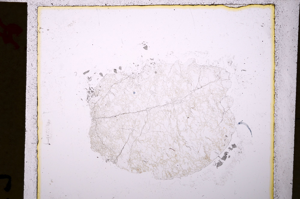 Plane Polarized, E20234