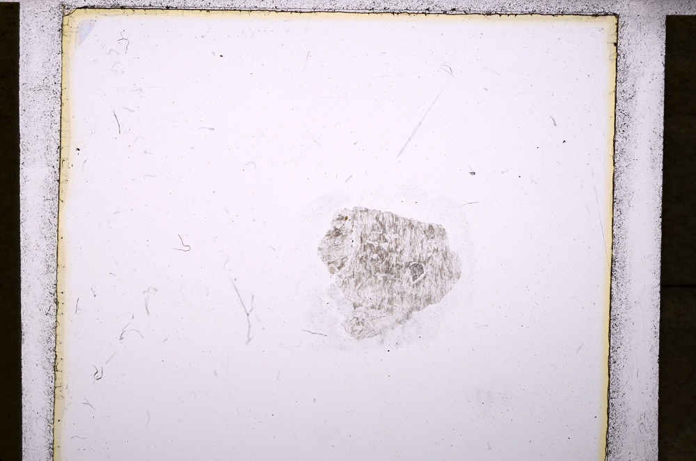 Plane Polarized, E20246