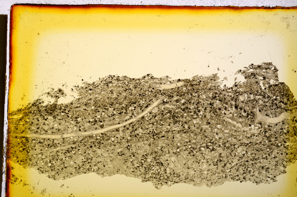 Plane Polarized, E20253