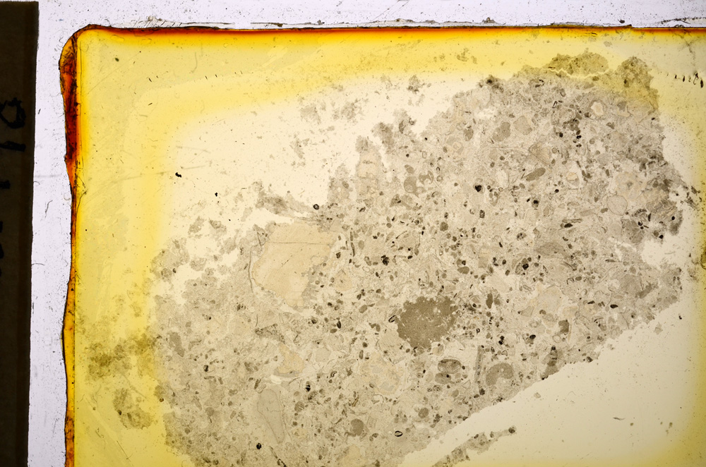 Plane Polarized, E20257