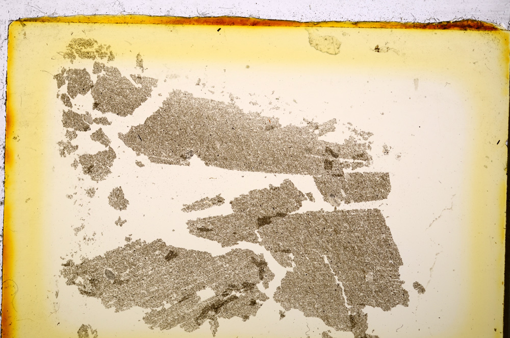 Plane Polarized, E20264