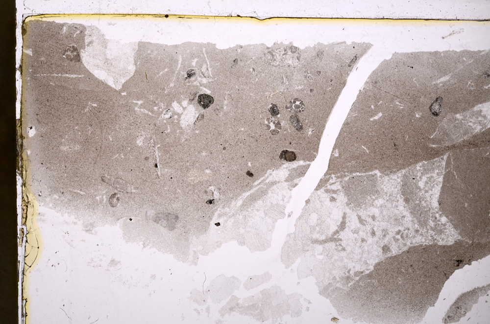 Plane Polarized, E20285