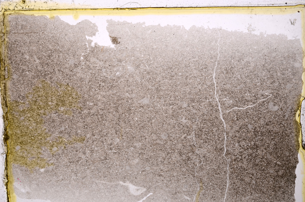 Plane Polarized, E20295