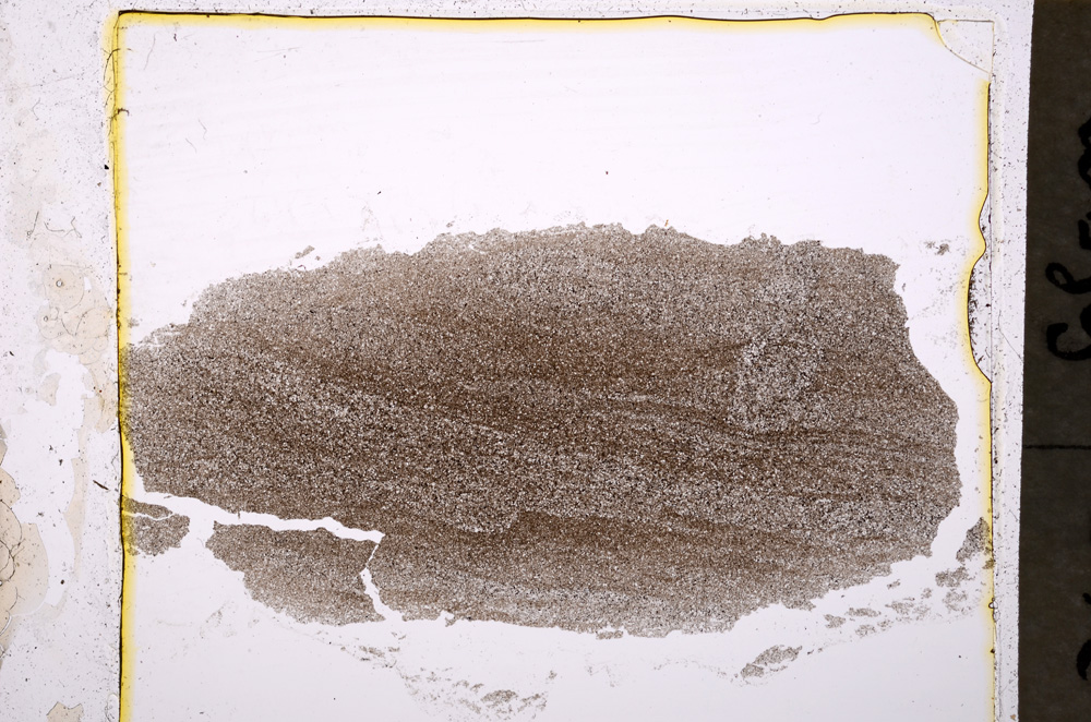 Plane Polarized, E20303