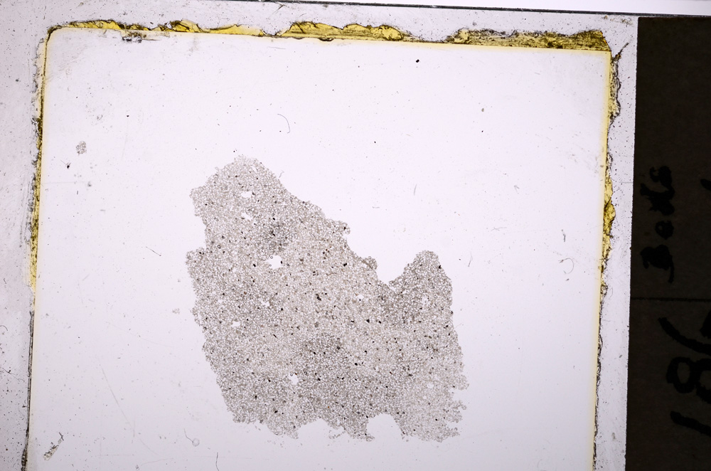 Plane Polarized, E20317