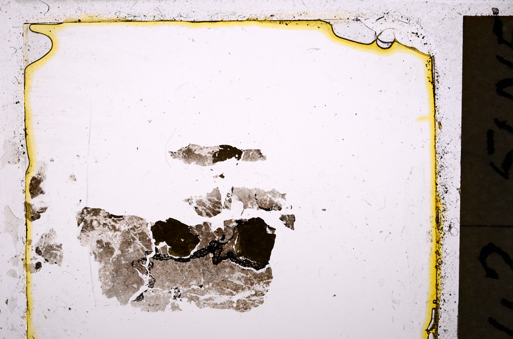 Plane Polarized, E20318