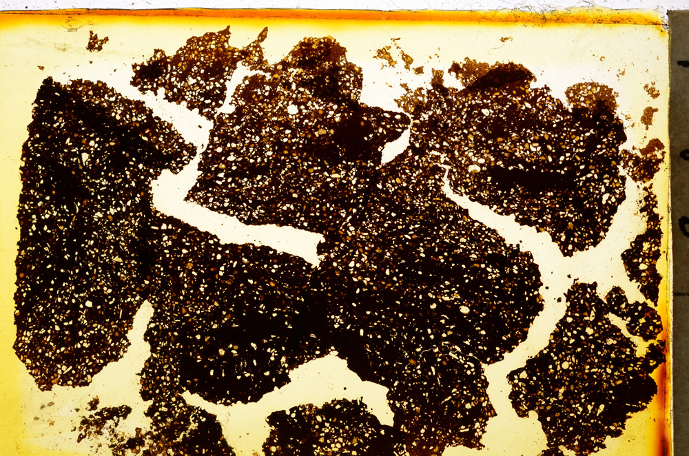 Plane Polarized, E20319