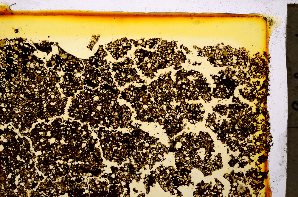 Plane Polarized, E20320