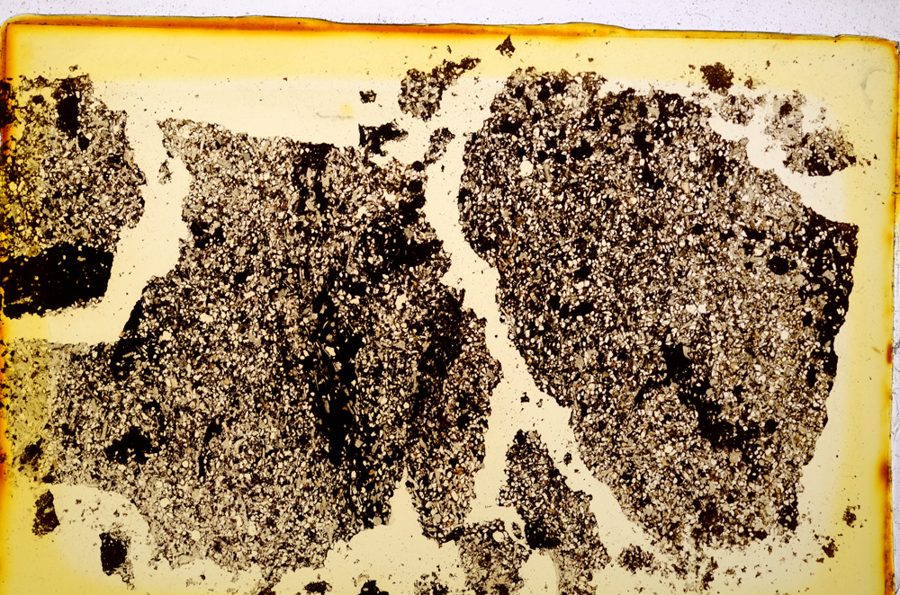 Plane Polarized, E20323