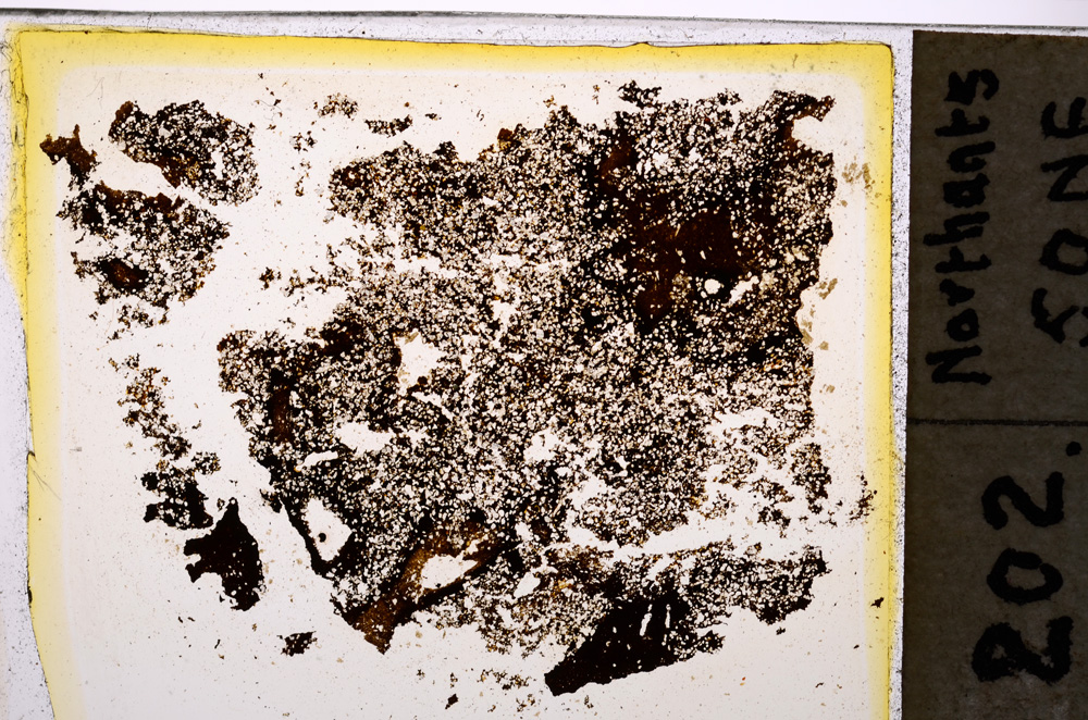 Plane Polarized, E20326