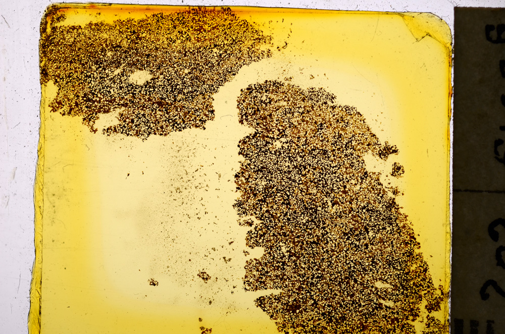 Plane Polarized, E20340