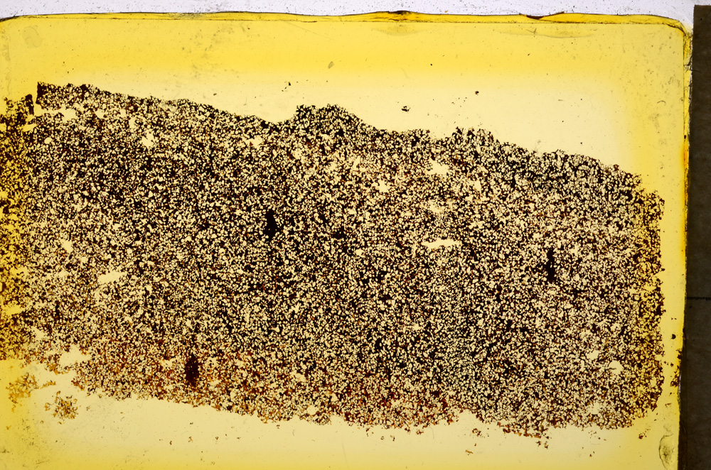 Plane Polarized, E20341