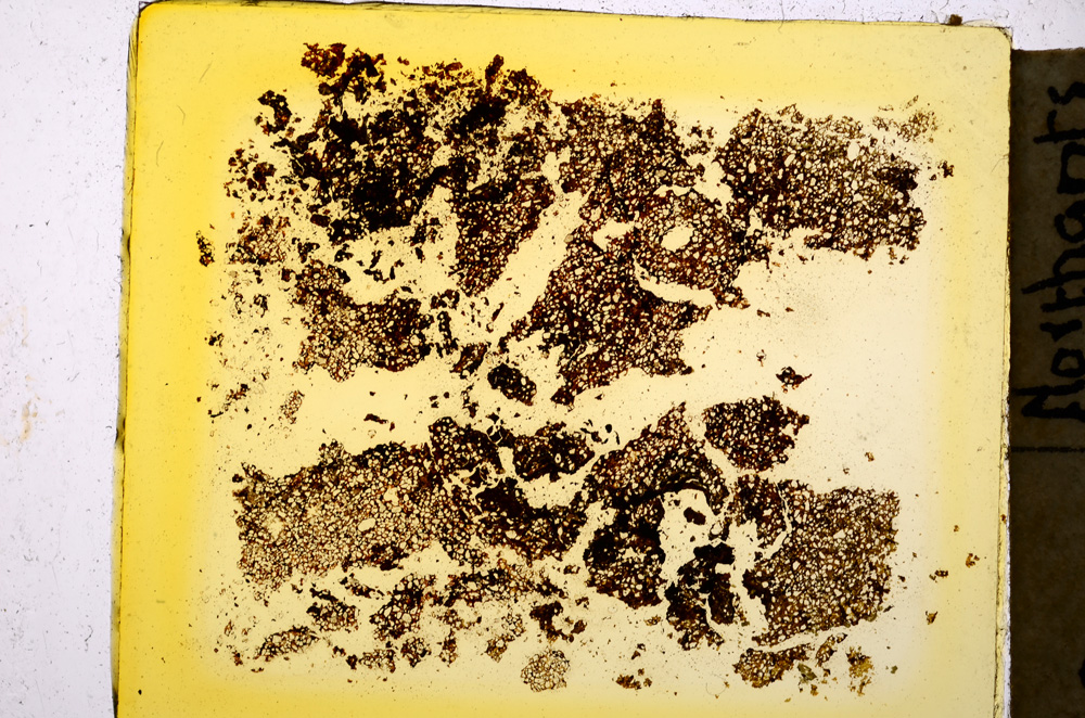 Plane Polarized, E20343