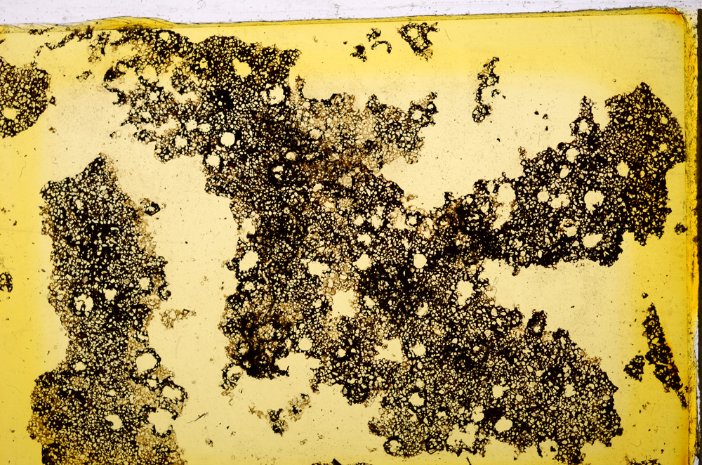 Plane Polarized, E20344