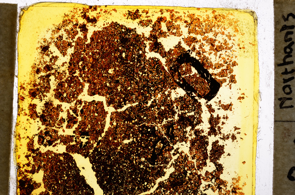 Plane Polarized, E20346