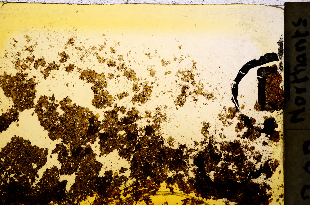 Plane Polarized, E20347