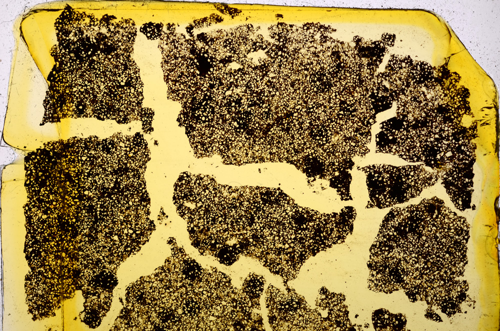 Plane Polarized, E20349