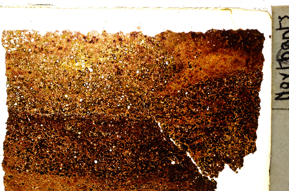 Plane Polarized, E20351