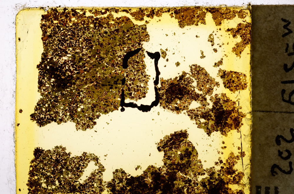 Plane Polarized, E20354