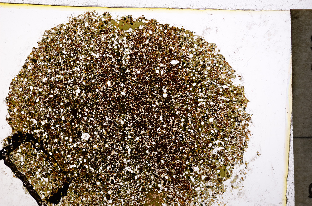 Plane Polarized, E20355