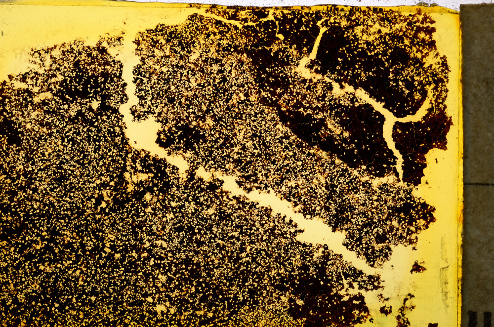 Plane Polarized, E20357