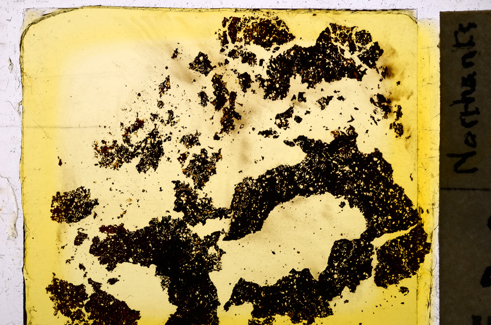 Plane Polarized, E20360