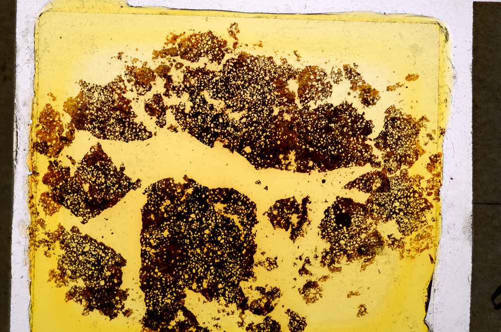 Plane Polarized, E20361