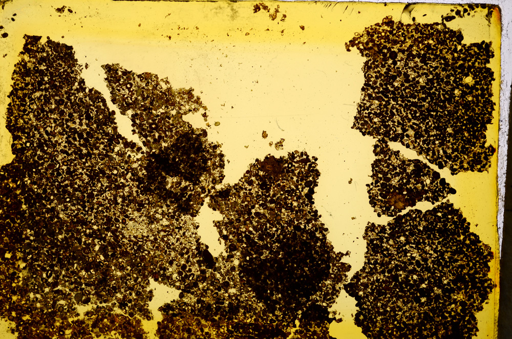 Plane Polarized, E20366