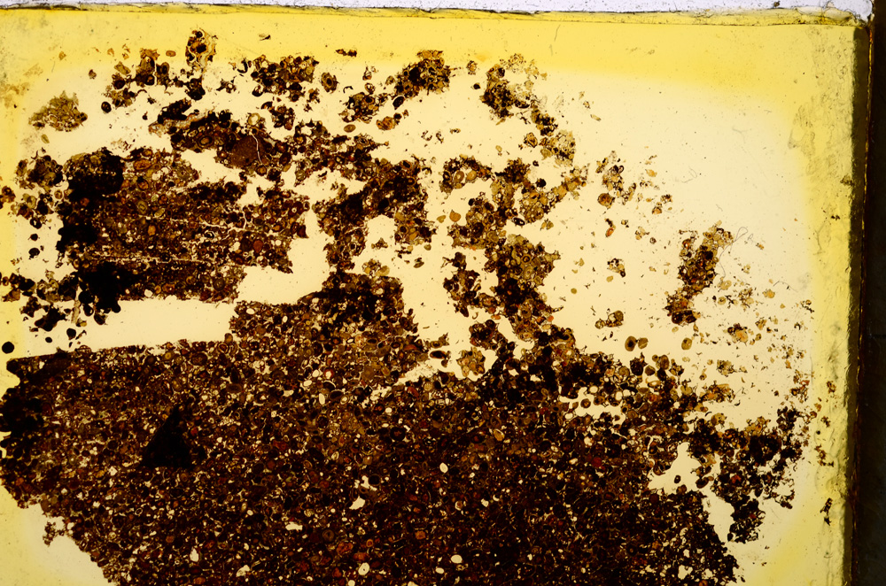 Plane Polarized, E20368