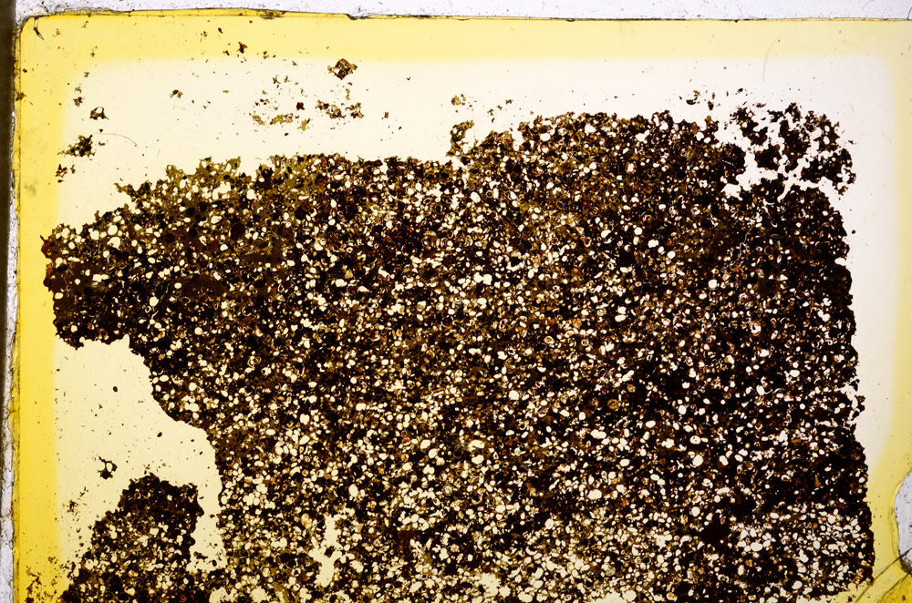 Plane Polarized, E20369