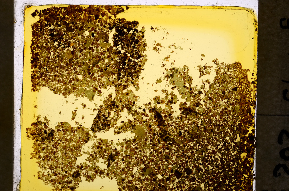 Plane Polarized, E20370