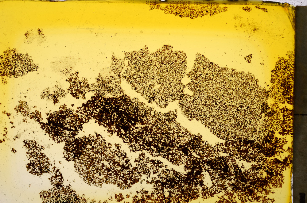 Plane Polarized, E20371