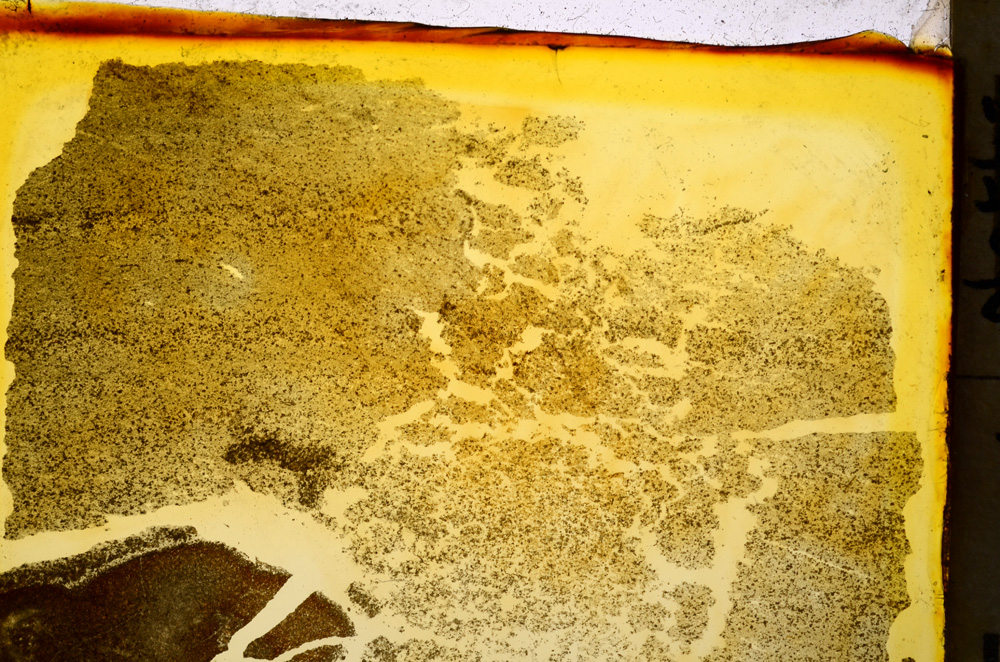 Plane Polarized, E20376