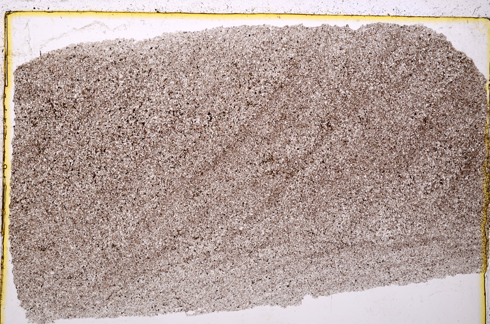 Plane Polarized, E20380