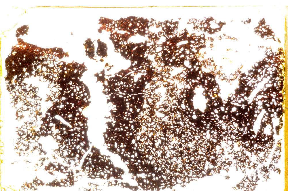 Plane Polarized, E20400