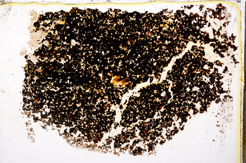 Plane Polarized, E20401