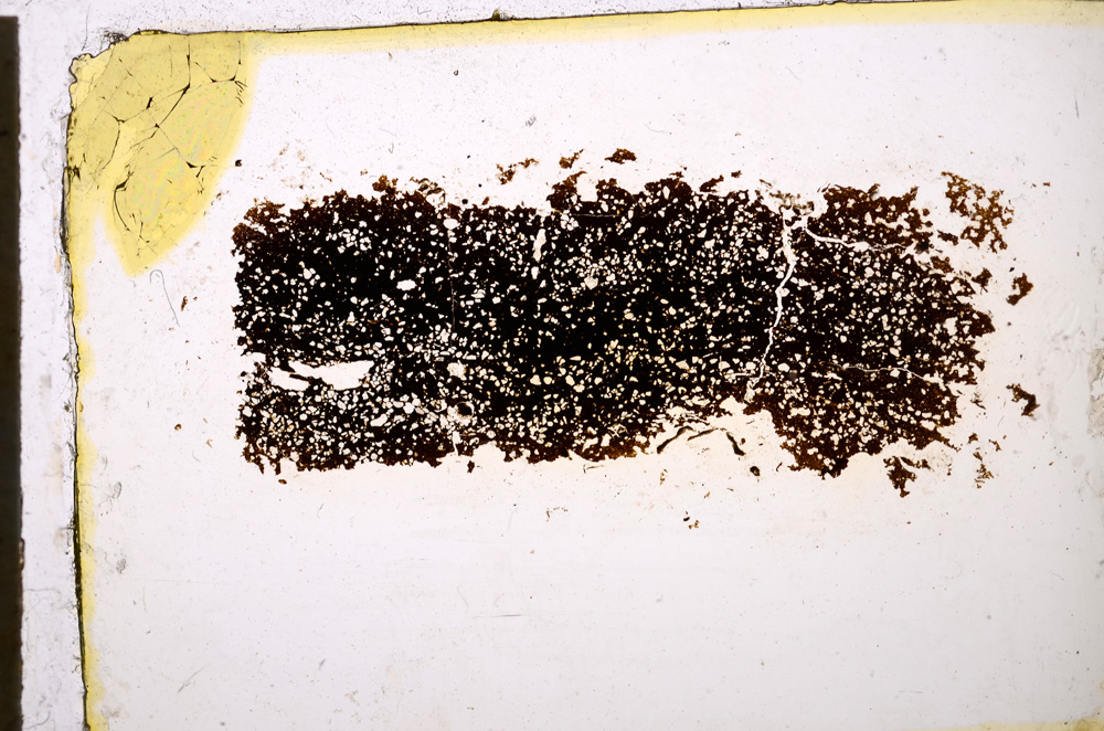 Plane Polarized, E20404