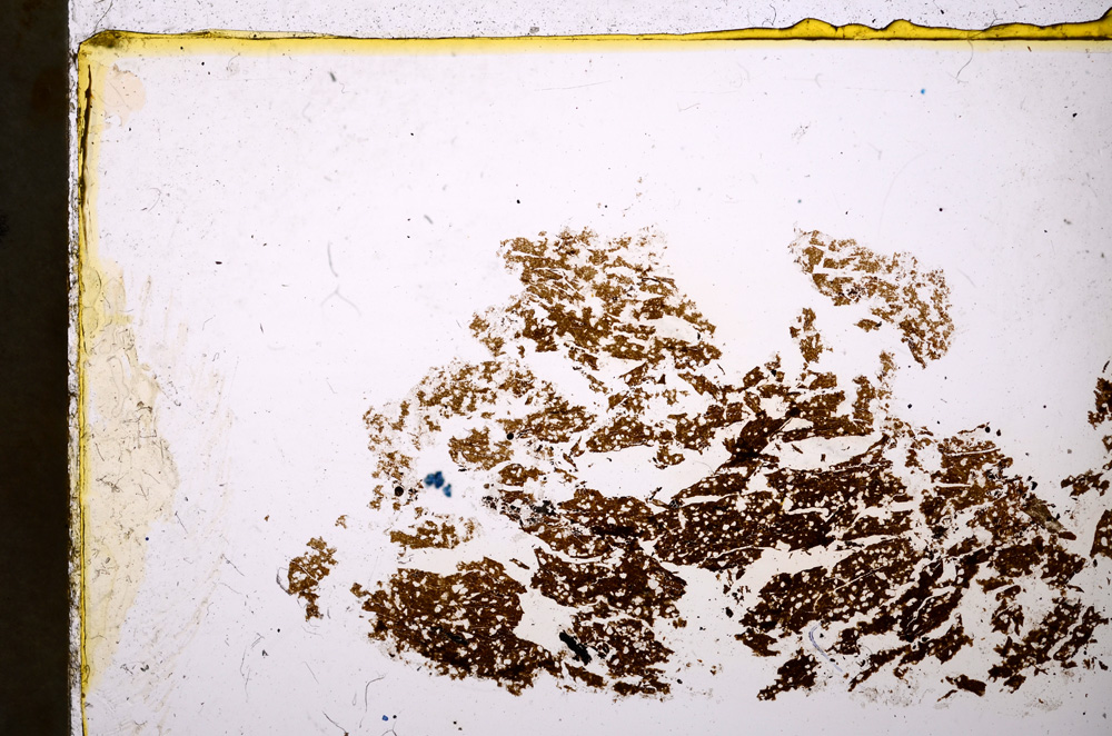 Plane Polarized, E20405