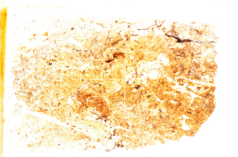 Plane Polarized, E20406