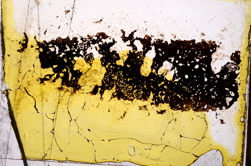 Plane Polarized, E20407