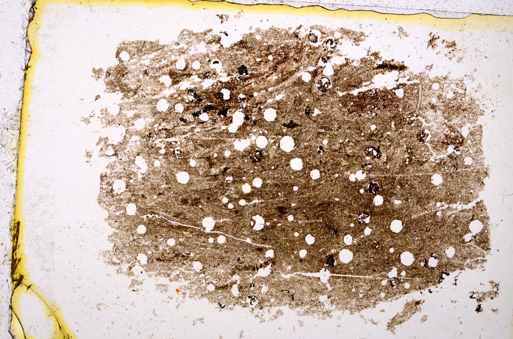 Plane Polarized, E20410