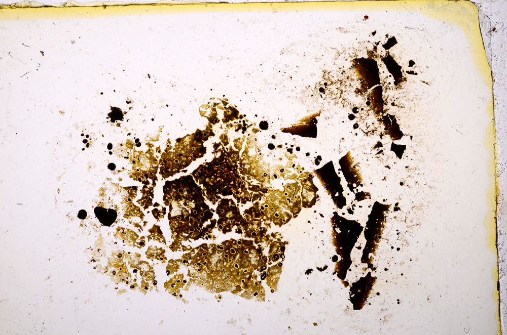 Plane Polarized, E20420