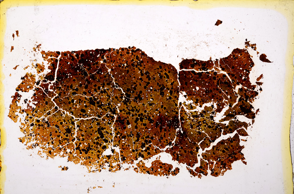 Plane Polarized, E20421