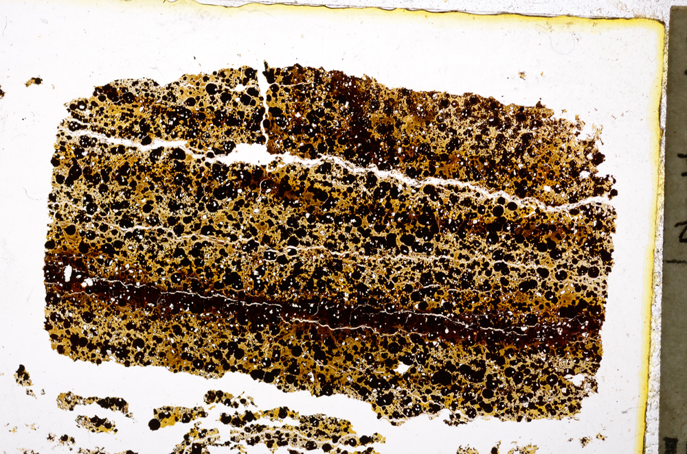 Plane Polarized, E20422