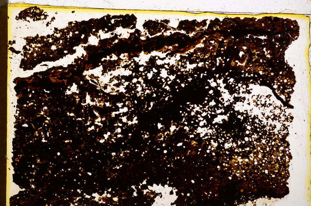 Plane Polarized, E20425