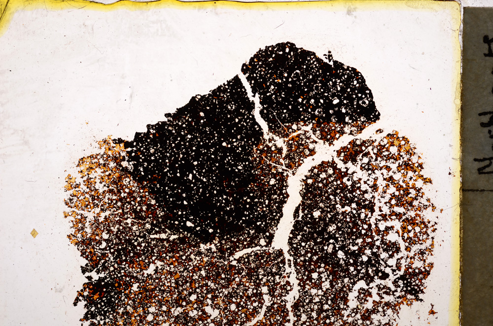 Plane Polarized, E20426