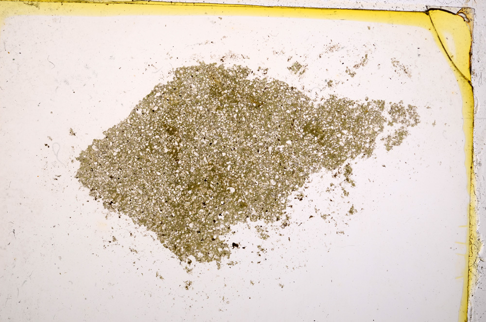 Plane Polarized, E20427