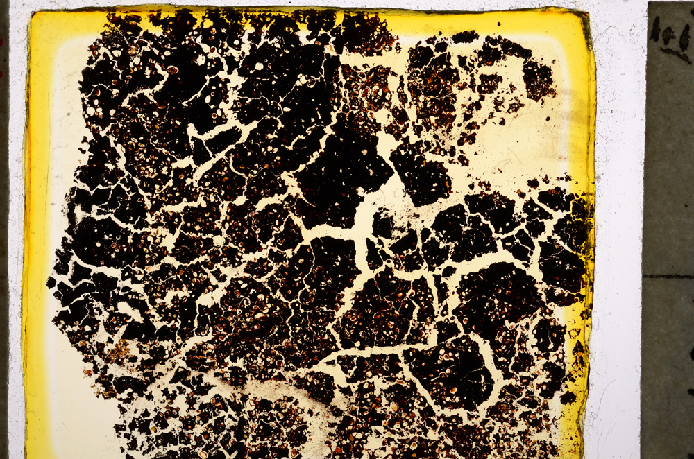 Plane Polarized, E20444